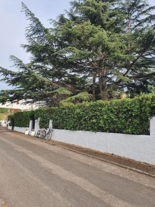 Ccc Holiday Properties Le Vele Ccc Montalto di Castro Exterior photo