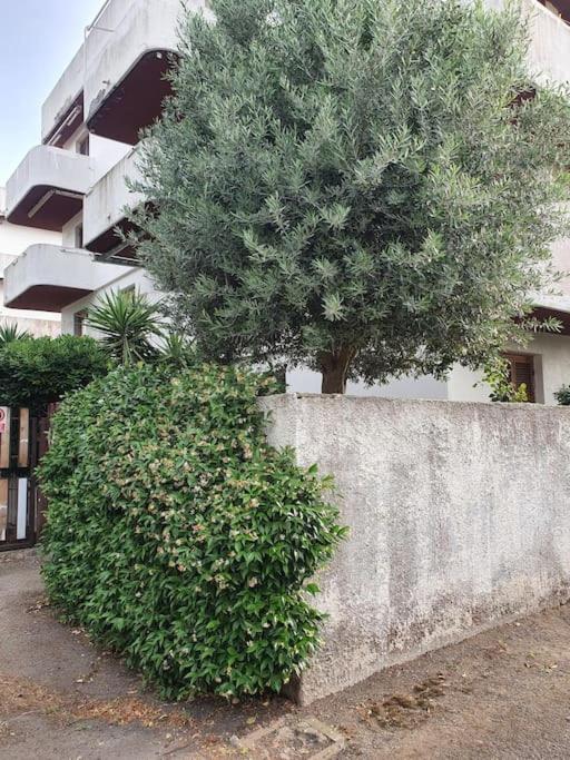 Ccc Holiday Properties Le Vele Ccc Montalto di Castro Exterior photo