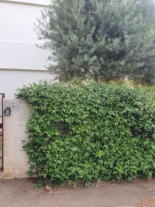 Ccc Holiday Properties Le Vele Ccc Montalto di Castro Exterior photo
