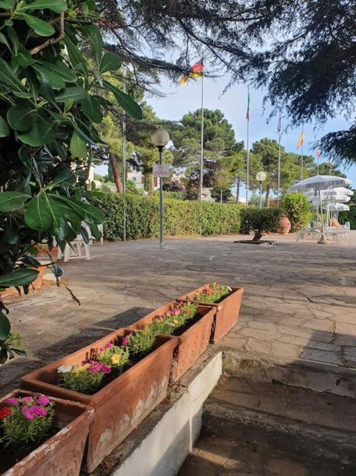 Ccc Holiday Properties Le Vele Ccc Montalto di Castro Exterior photo